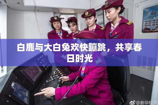 白鹿与大白兔欢快蹦跳，共享春日时光