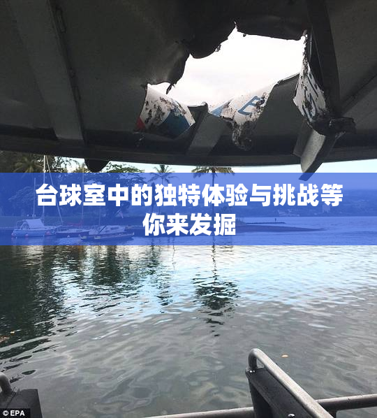 台球室中的独特体验与挑战等你来发掘