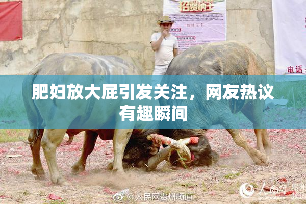 肥妇放大屁引发关注，网友热议有趣瞬间
