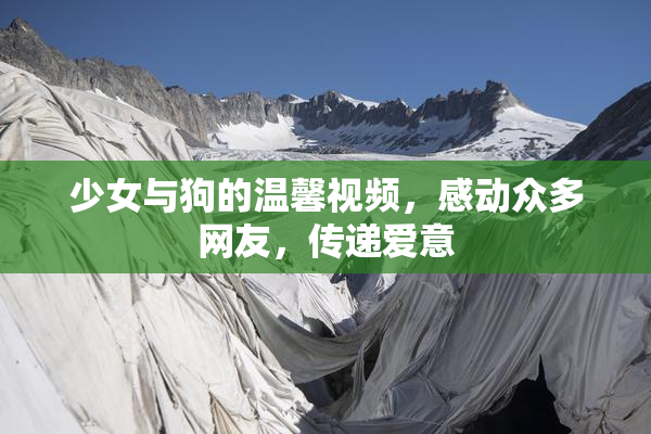 少女与狗的温馨视频，感动众多网友，传递爱意