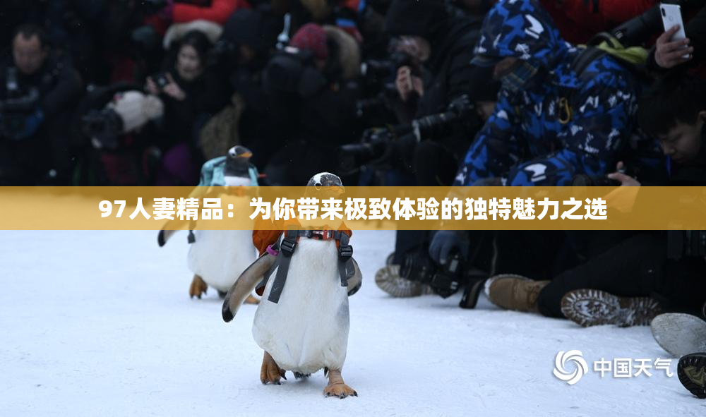 97人妻精品：为你带来极致体验的独特魅力之选