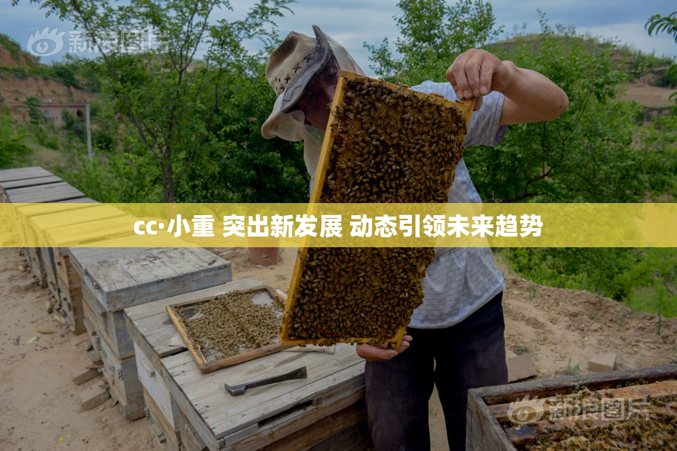 cc·小重 突出新发展 动态引领未来趋势