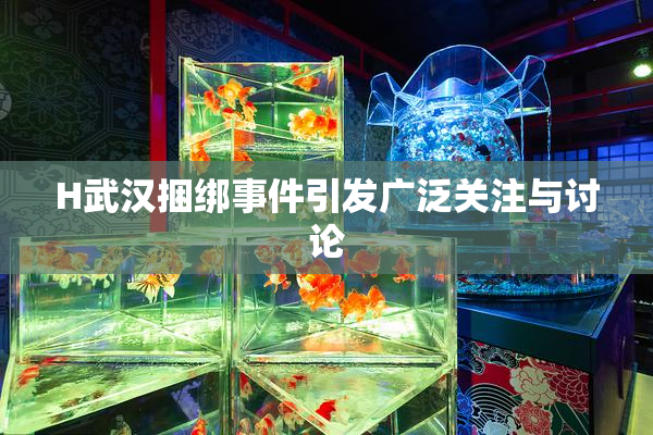 H武汉捆绑事件引发广泛关注与讨论
