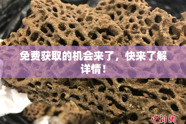 免费获取的机会来了，快来了解详情！