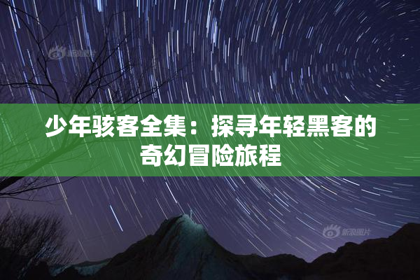 少年骇客全集：探寻年轻黑客的奇幻冒险旅程