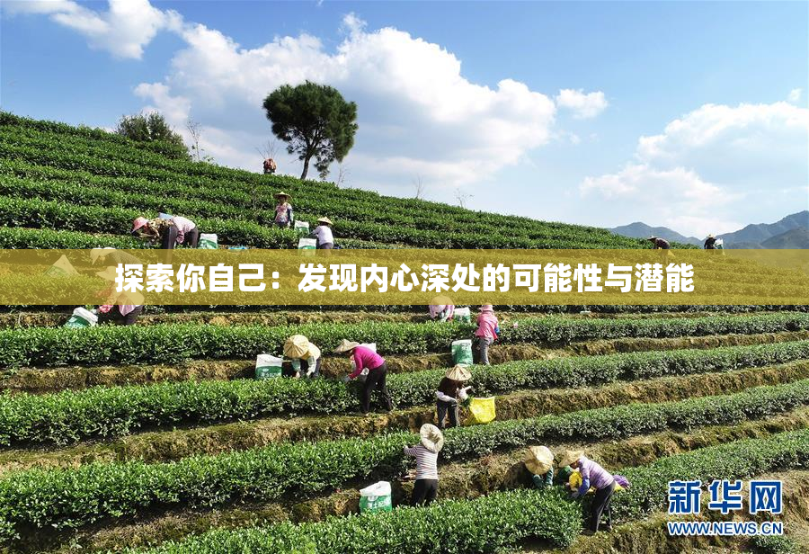 探索你自己：发现内心深处的可能性与潜能