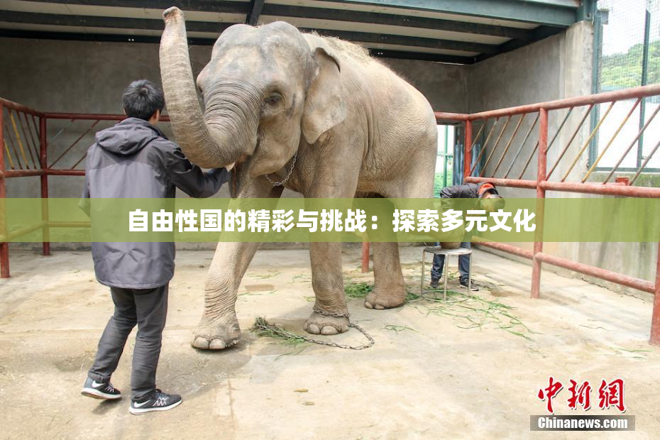 自由性国的精彩与挑战：探索多元文化