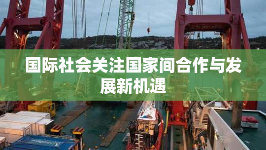国际社会关注国家间合作与发展新机遇