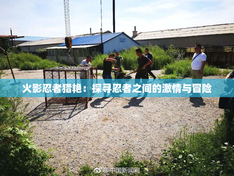 火影忍者猎艳：探寻忍者之间的激情与冒险