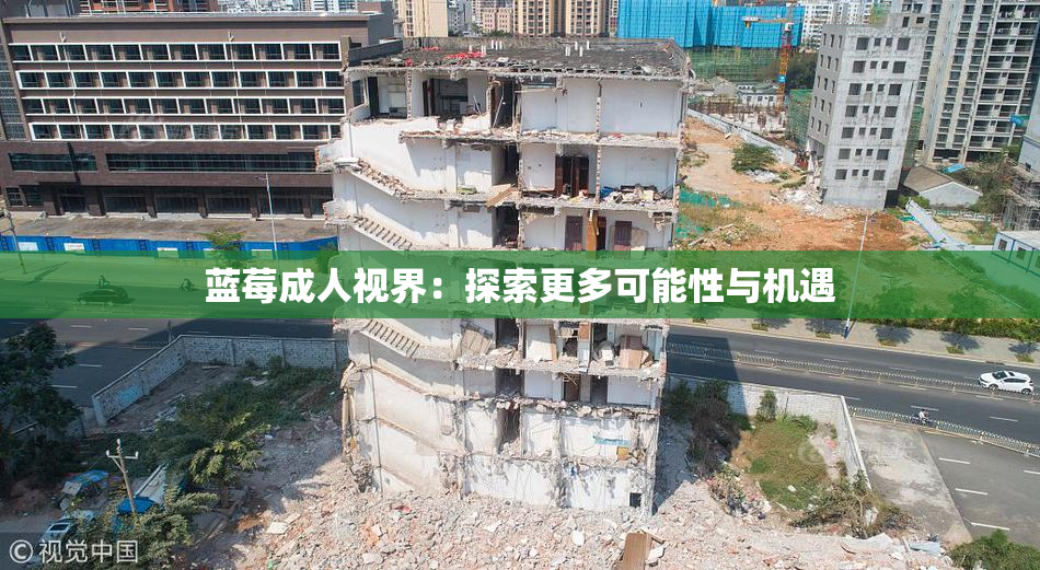 蓝莓成人视界：探索更多可能性与机遇