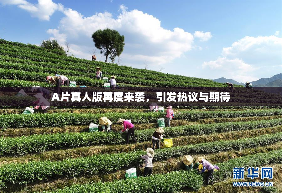 A片真人版再度来袭，引发热议与期待
