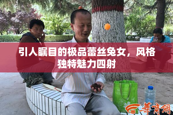 引人瞩目的极品蕾丝兔女，风格独特魅力四射