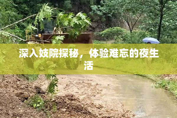 深入妓院探秘，体验难忘的夜生活