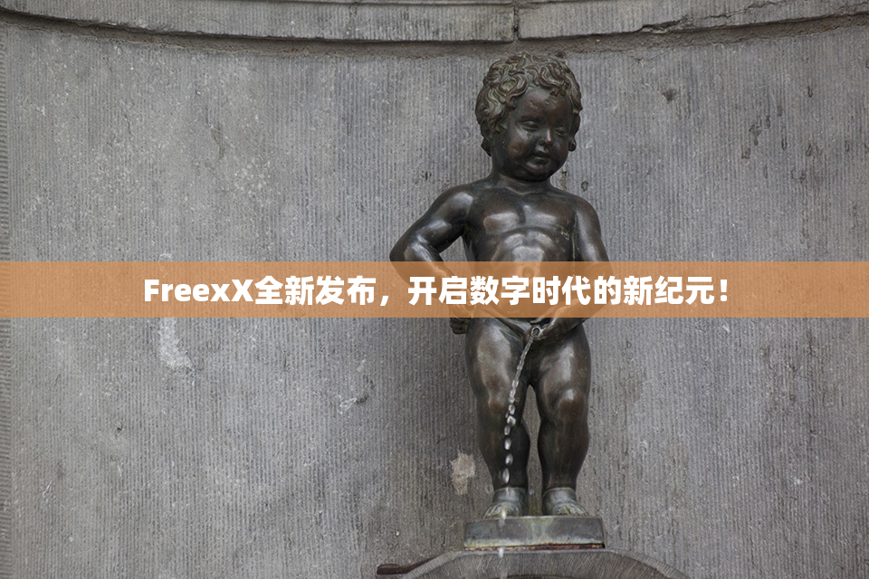 FreexX全新发布，开启数字时代的新纪元！