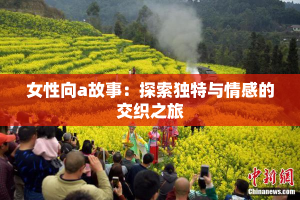 女性向a故事：探索独特与情感的交织之旅
