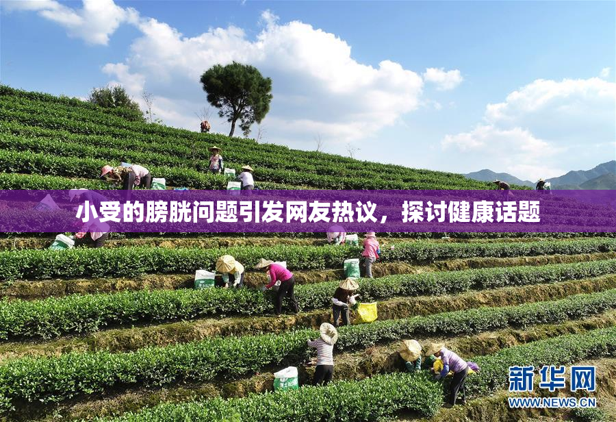 小受的膀胱问题引发网友热议，探讨健康话题