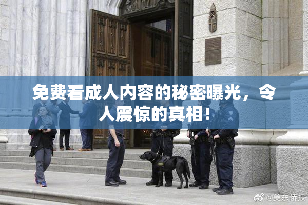 免费看成人内容的秘密曝光，令人震惊的真相！