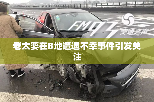 老太婆在B地遭遇不幸事件引发关注