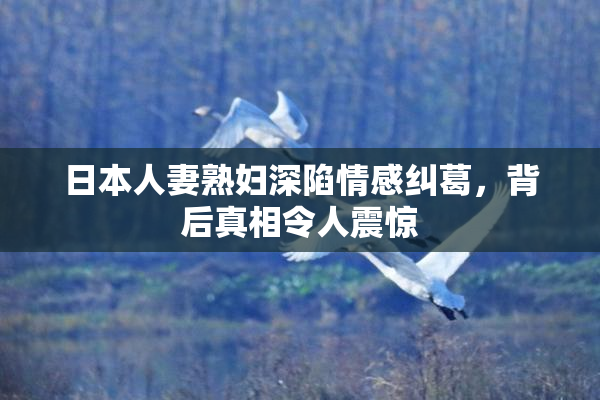 日本人妻熟妇深陷情感纠葛，背后真相令人震惊