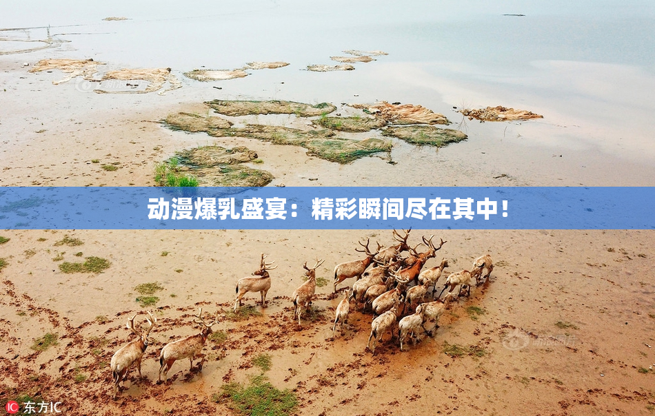动漫爆乳盛宴：精彩瞬间尽在其中！