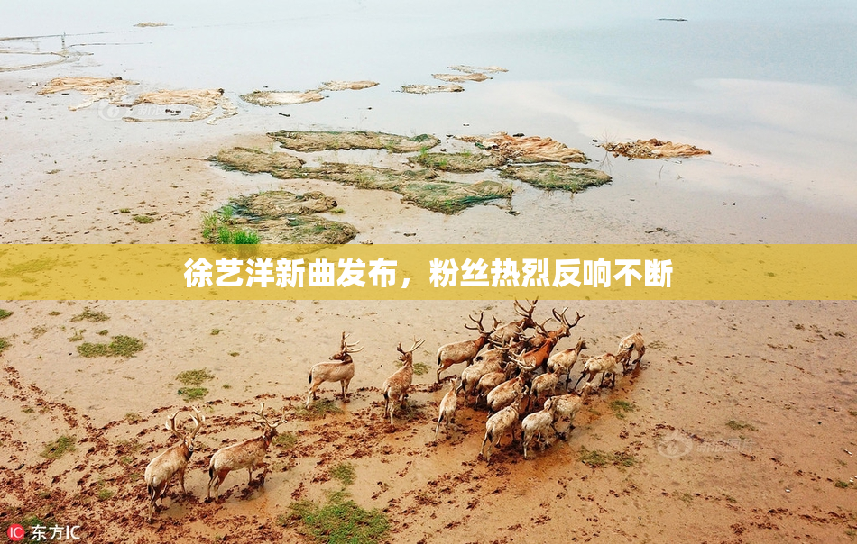 徐艺洋新曲发布，粉丝热烈反响不断