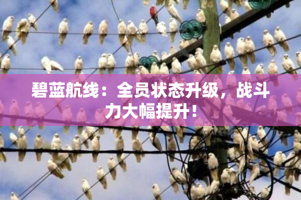 碧蓝航线：全员状态升级，战斗力大幅提升！