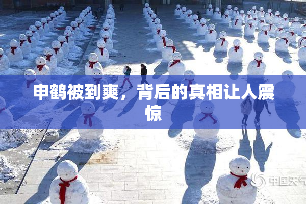 申鹤被到爽，背后的真相让人震惊