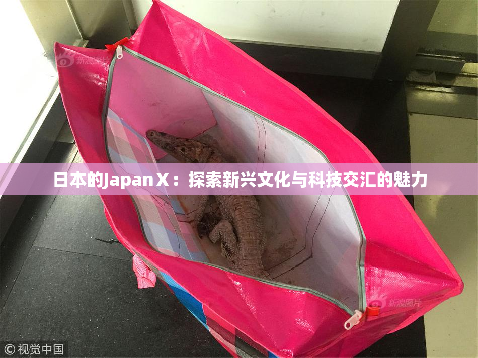日本的JapanⅩ：探索新兴文化与科技交汇的魅力