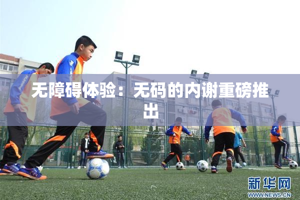 无障碍体验：无码的内谢重磅推出