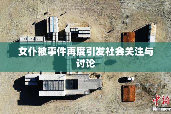 女仆被事件再度引发社会关注与讨论
