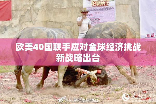 欧美40国联手应对全球经济挑战新战略出台
