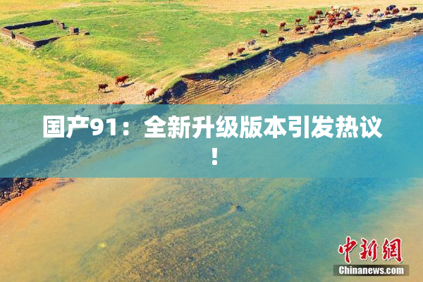 国产91：全新升级版本引发热议！