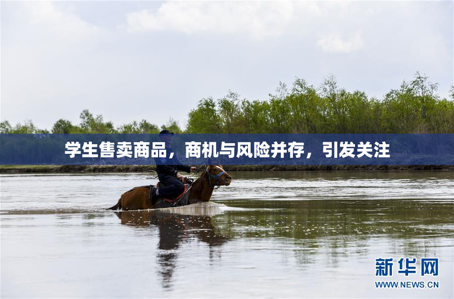 学生售卖商品，商机与风险并存，引发关注