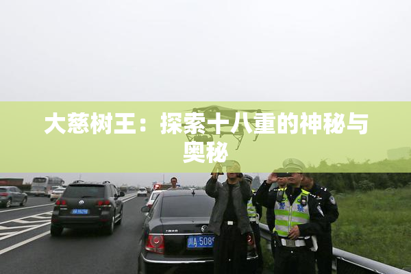 大慈树王：探索十八重的神秘与奥秘