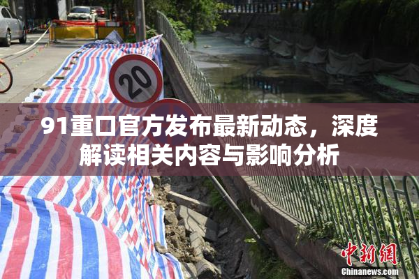 91重口官方发布最新动态，深度解读相关内容与影响分析