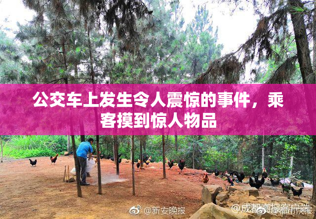 公交车上发生令人震惊的事件，乘客摸到惊人物品