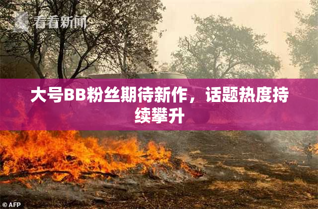 大号BB粉丝期待新作，话题热度持续攀升