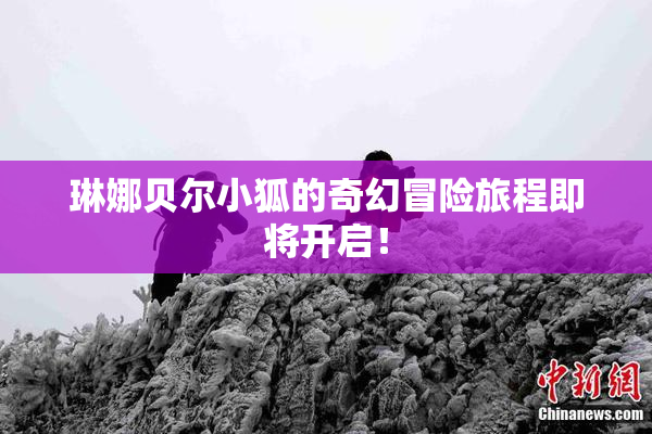 琳娜贝尔小狐的奇幻冒险旅程即将开启！