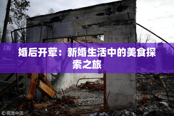 婚后开荤：新婚生活中的美食探索之旅