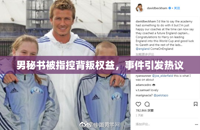 男秘书被指控背叛权益，事件引发热议