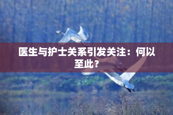 医生与护士关系引发关注：何以至此？