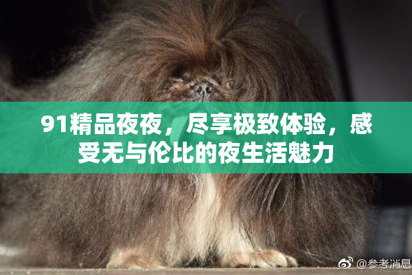 91精品夜夜，尽享极致体验，感受无与伦比的夜生活魅力