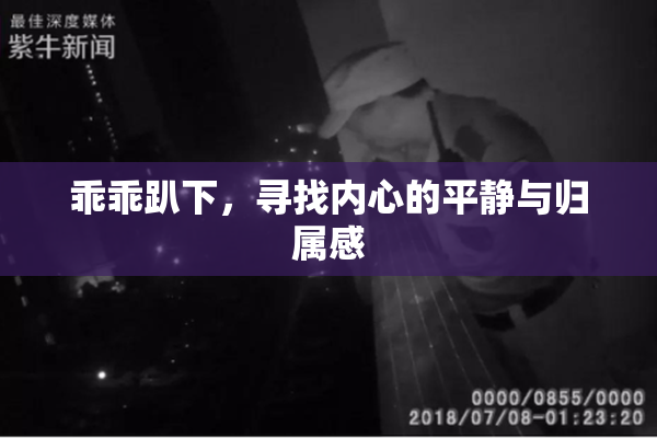 乖乖趴下，寻找内心的平静与归属感