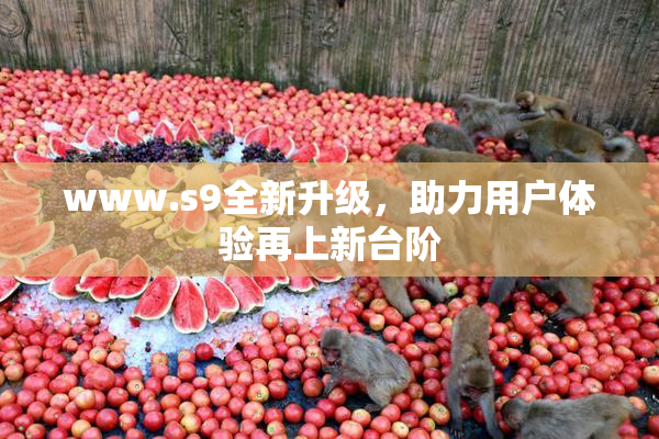 www.s9全新升级，助力用户体验再上新台阶