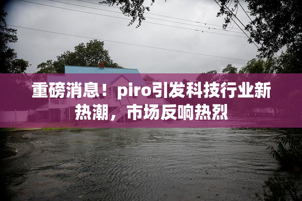 重磅消息！piro引发科技行业新热潮，市场反响热烈