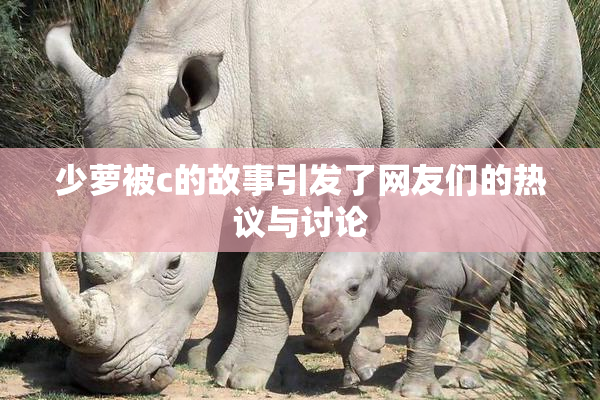 少萝被c的故事引发了网友们的热议与讨论