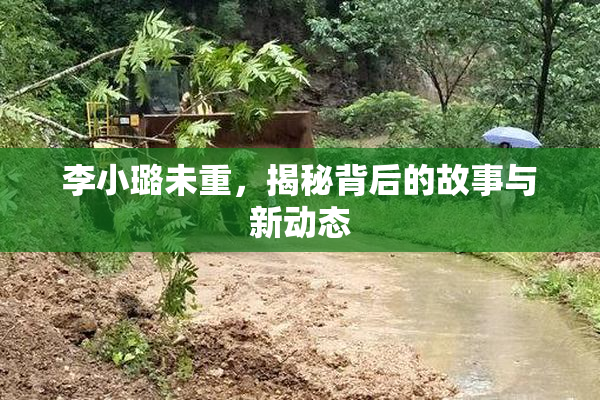 李小璐未重，揭秘背后的故事与新动态