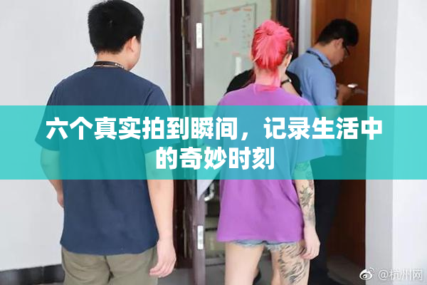 六个真实拍到瞬间，记录生活中的奇妙时刻