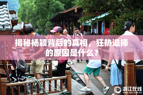 揭秘杨颖背后的真相，狂热追捧的原因是什么？