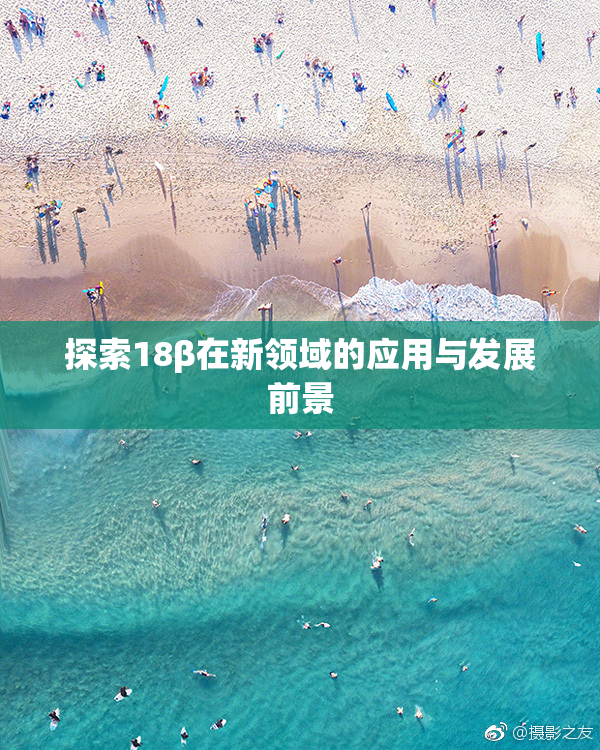 探索18β在新领域的应用与发展前景
